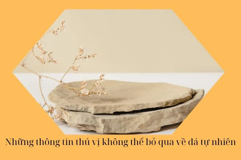Những thông tin thú vị không thể bỏ qua về đá tự nhiên
