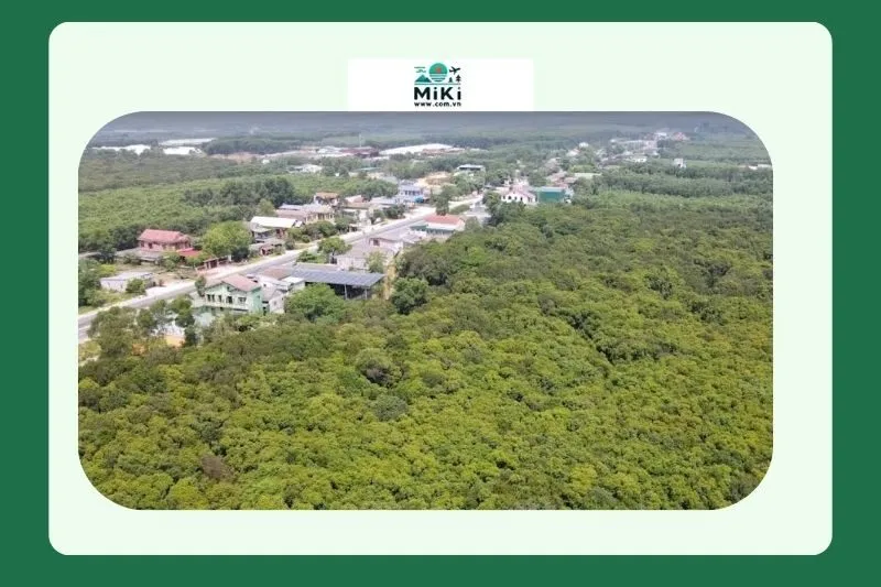 Bảo tồn Truông Nhà Hồ Quảng Trị