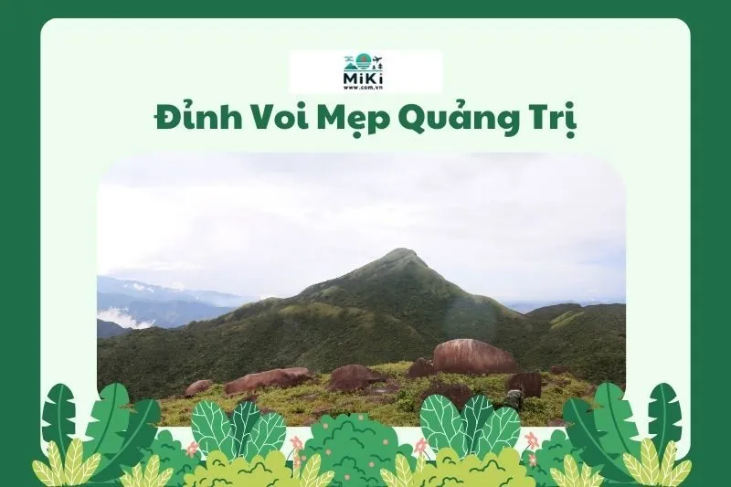 Đỉnh Voi Mẹp Quảng Trị