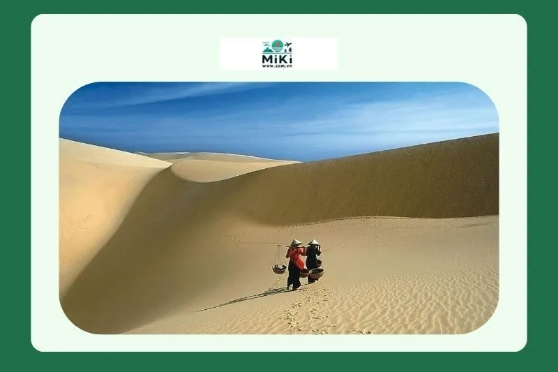 Đồi cát vàng Nhĩ Hạ Quảng Trị ở đâu?