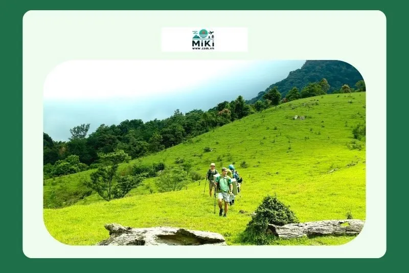 Đồi cỏ Xa Reng Quảng Trị ở đâu?