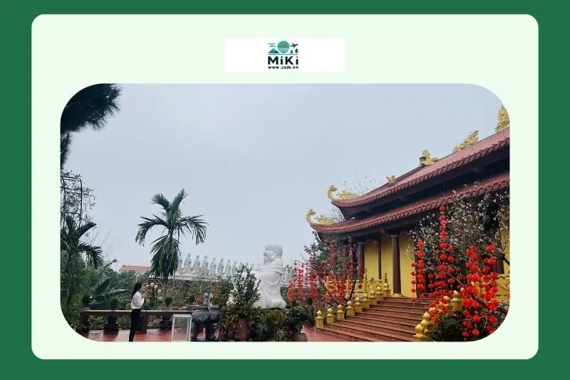 Hiện trạng Thành Tân Sở và những nỗ lực bảo tồn