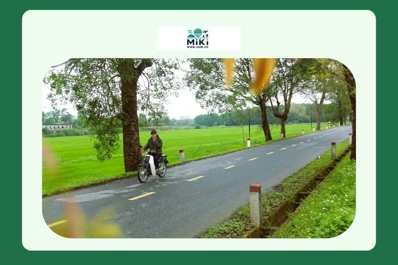 Khám Phá Làng Đại An Khê Quảng Trị