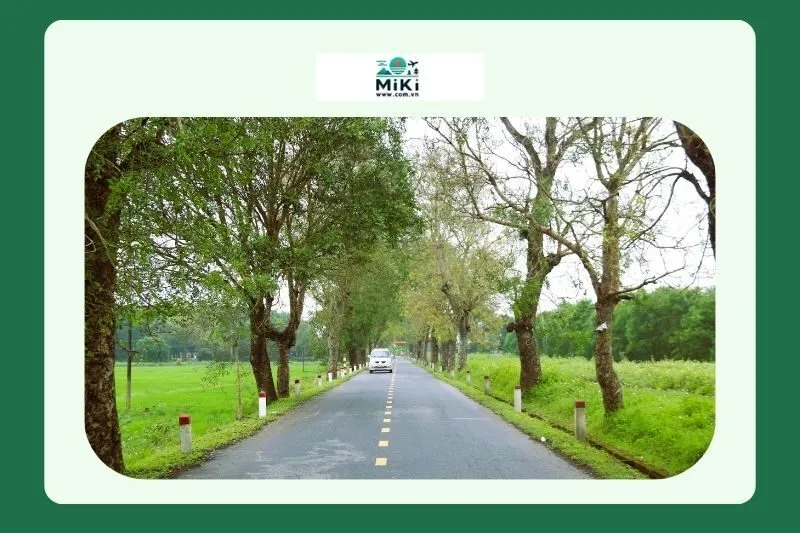 Làng Đại An Khê và sự phát triển trong thời đại hiện đại