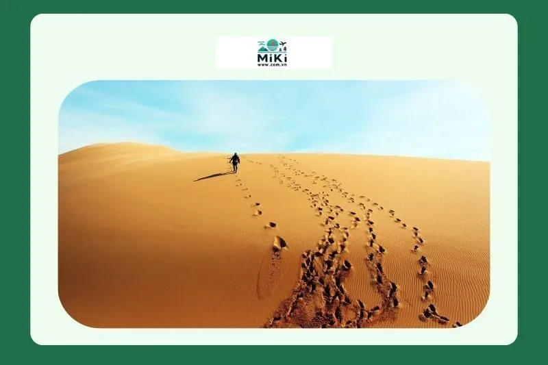 Sự độc đáo của Đồi cát vàng Nhĩ Hạ Quảng Trị