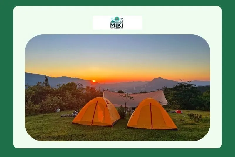 Trải nghiệm đêm trong rừng nguyên sinh tại Đỉnh Voi Mẹp