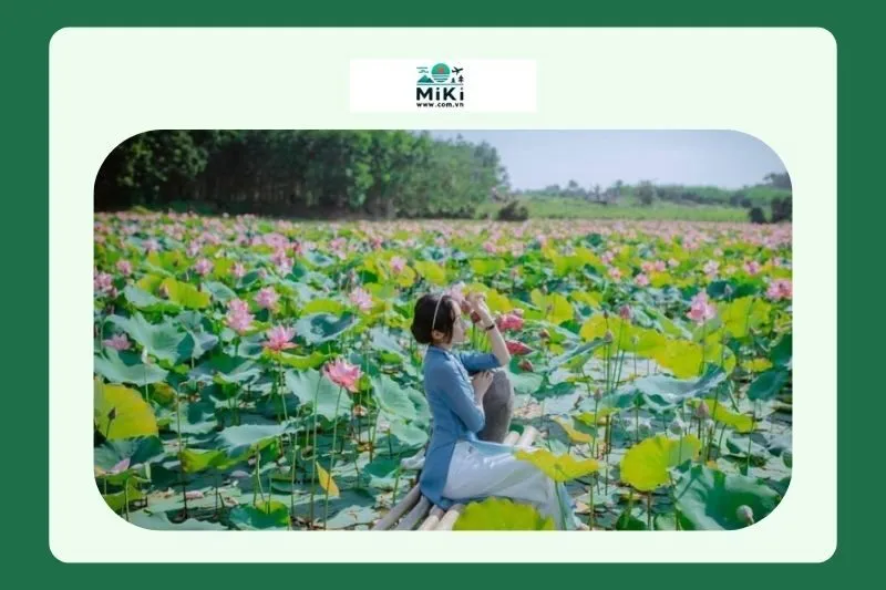 Các hoạt động thú vị tại Đầm sen Trường Phước