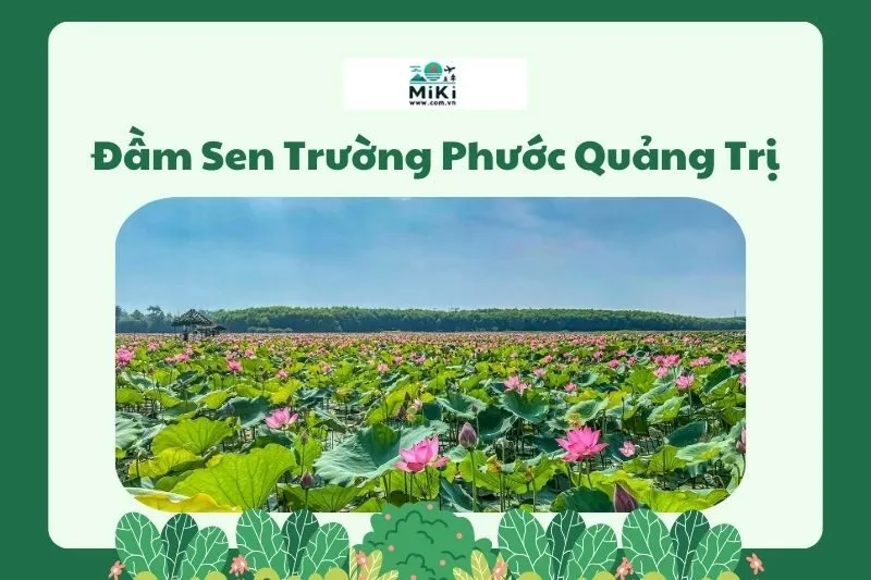 Đầm Sen Trường Phước Quảng Trị