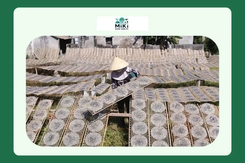 Du Lịch Làng Tân An - Một Điểm Đến Lý Tưởng ở Quảng Trị