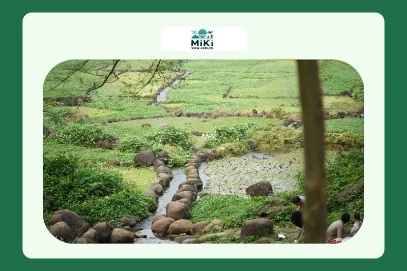 Giếng cổ Gio An Quảng Trị – Lịch sử và văn hóa độc đáo