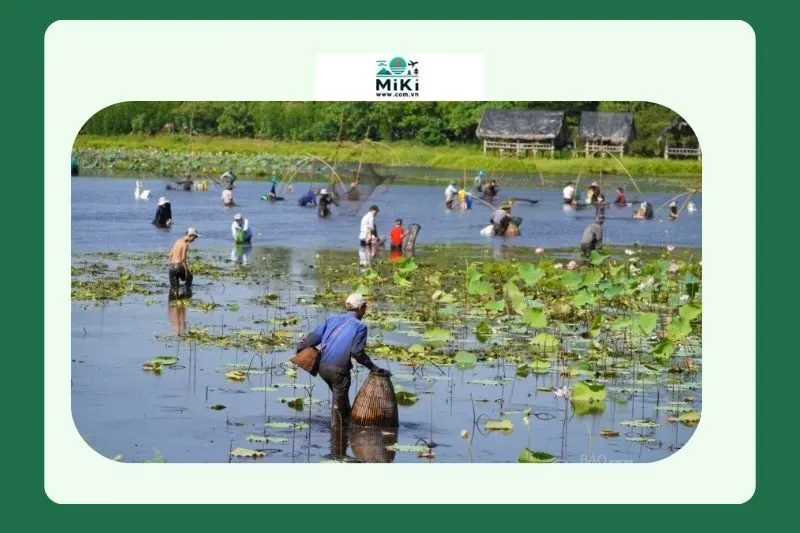 Hệ sinh thái rừng tại Trằm Trà Lộc