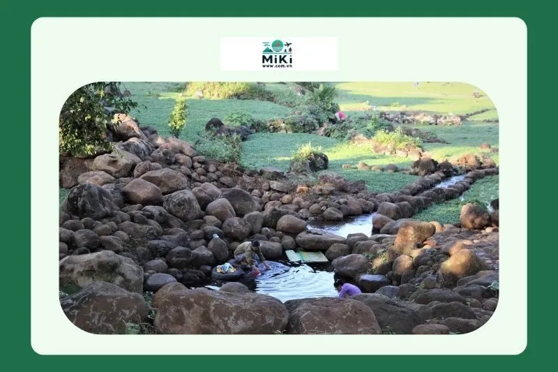 Hệ sinh thái xung quanh giếng cổ Gio An