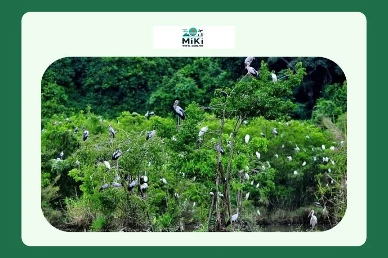 Nhiệm Vụ Của Khu Bảo Tồn Thiên Nhiên Bắc Hướng Hóa