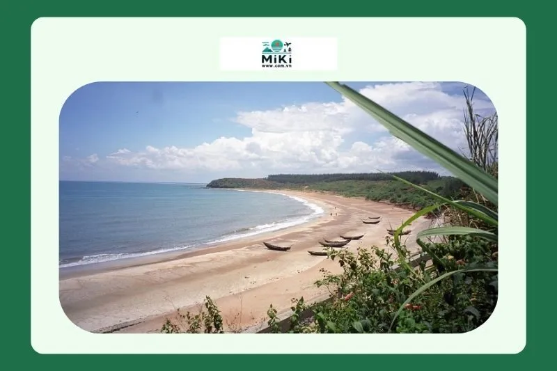 Những Hoạt Động Thú Vị tại Bàu Thủy Ứ