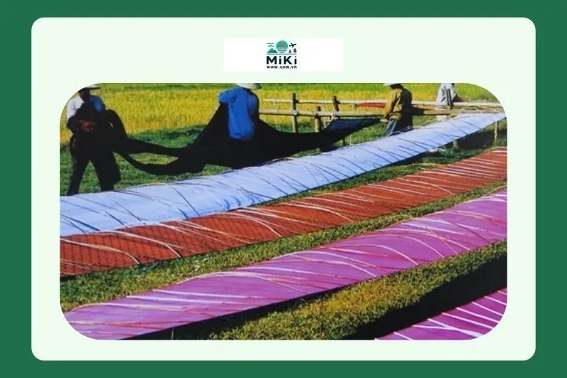 Những thách thức và cơ hội cho nghề dệt lụa Quảng Trị