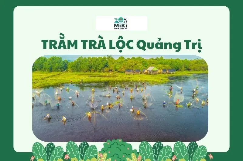 TRẰM TRÀ LỘC Quảng Trị