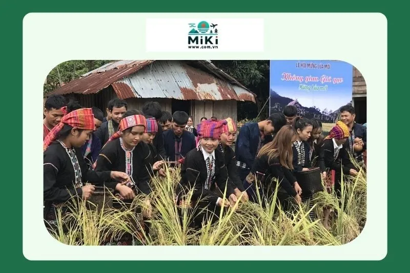 Các nghi thức cúng tế trong lễ mừng cơm mới