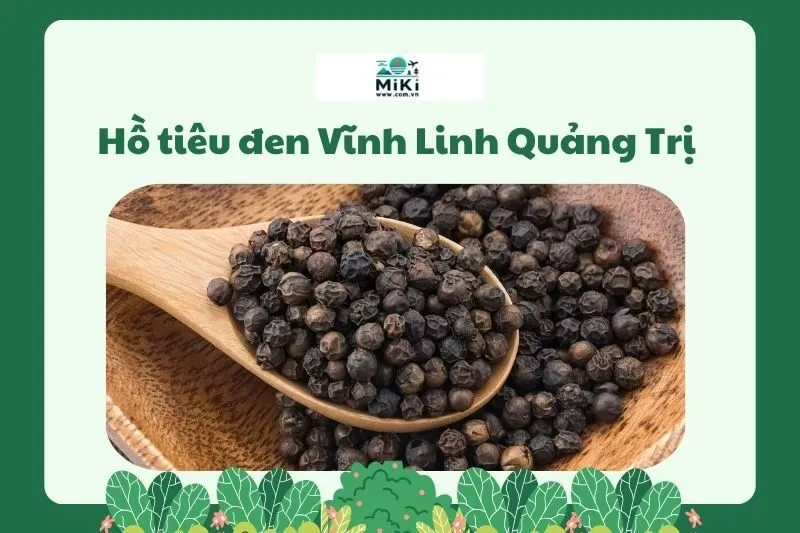 Hồ tiêu đen Vĩnh Linh Quảng Trị