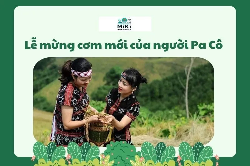 Lễ mừng cơm mới của người Pa Cô quảng trị