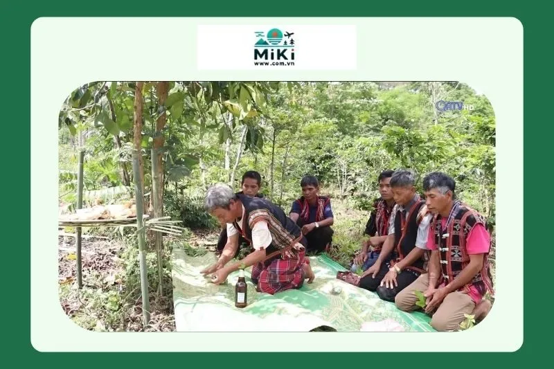 Những thay đổi và bảo tồn lễ mừng cơm mới hiện nay