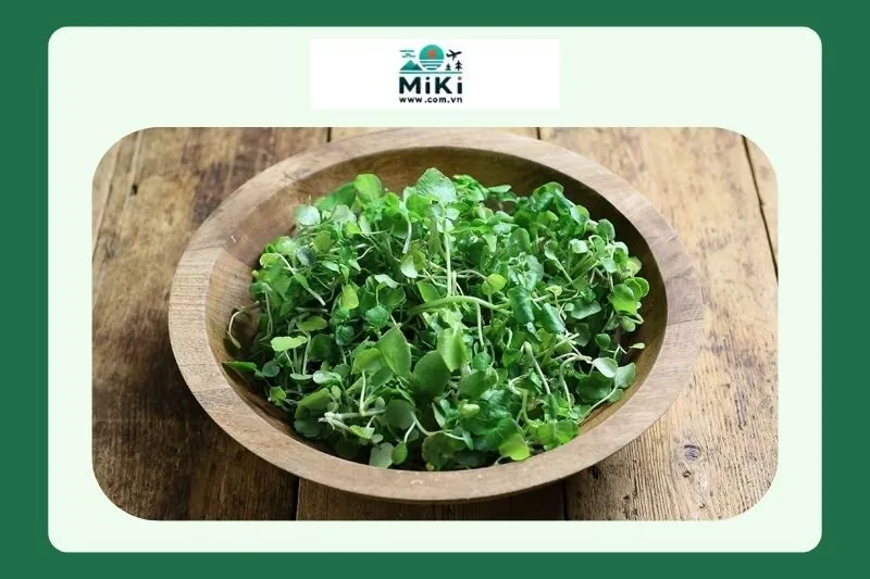 Rau xà lách xoong Quảng Trị - Món ngon khó cưỡng