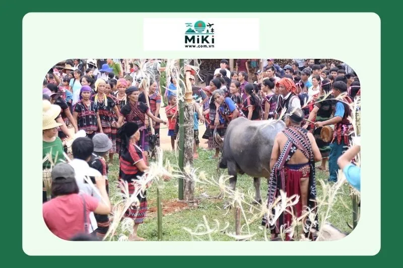 Thay đổi và phát triển của Lễ hội qua thời gian